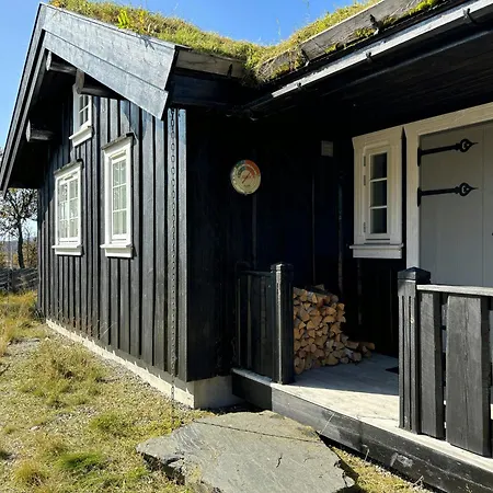 Family With Jotunheimen View Gala